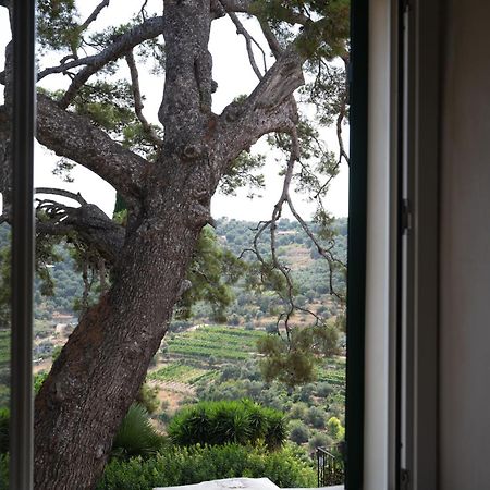 Uliveto Saglietto Agriturismo A Poggi Apartments Imperia Buitenkant foto