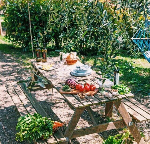 Uliveto Saglietto Agriturismo A Poggi Apartments Imperia Buitenkant foto