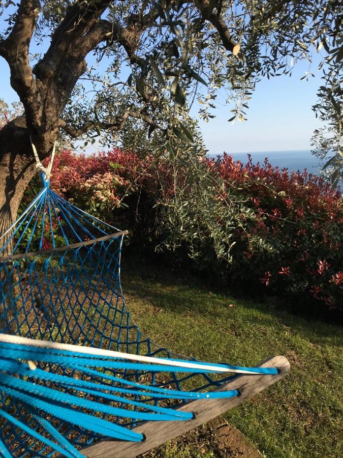 Uliveto Saglietto Agriturismo A Poggi Apartments Imperia Buitenkant foto